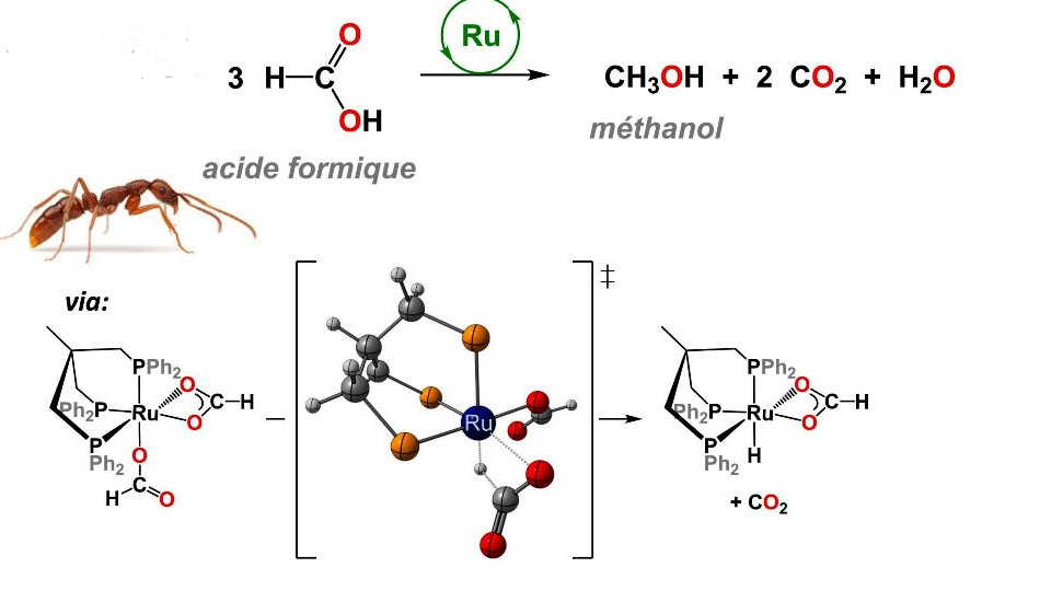 Cette image a un attribut alt vide ; son nom de fichier est image.png